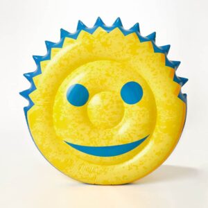 Scrub Daddy Pool Float